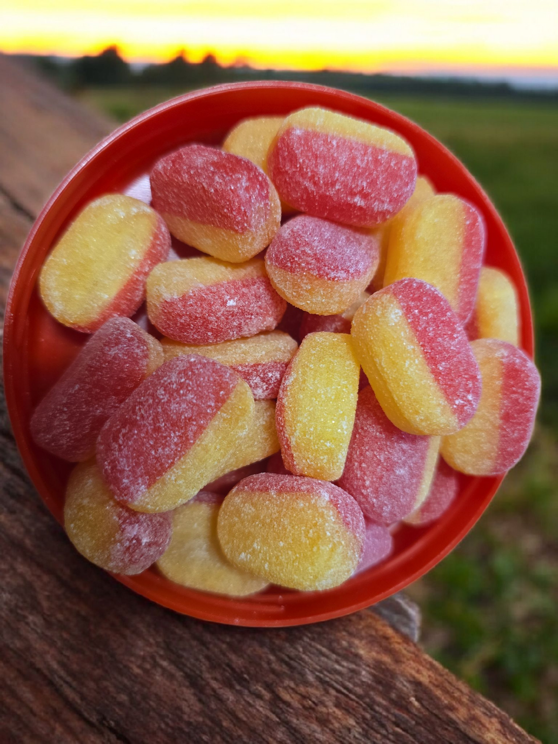 Alderwood Rhubarb & Custard 3kg Bulk Bag | ##shopname## | Rhubarb & Custard