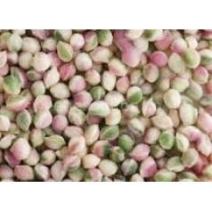 Dobsons Spearmint Pips 2.72kg partysweets.ie